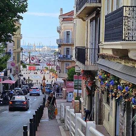 President Vue Mer, Festival, Quartier Forville Le Suquet Cannes